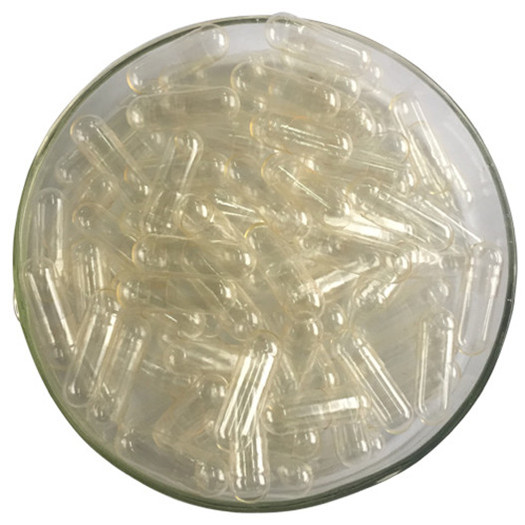 transparent transparent empty gelatin capsule shell