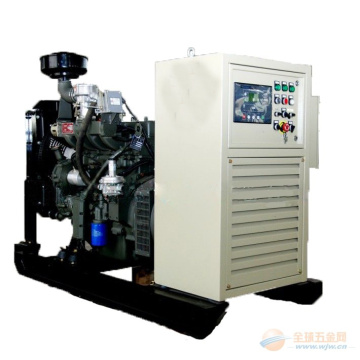 10kw to 100kw CE Approved Ricardo Natural Gas Generator