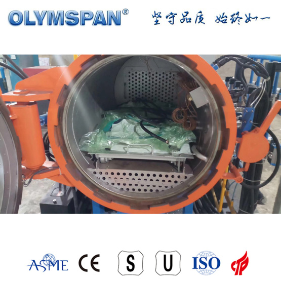 ASME standard small fiber glass treatment autoclave