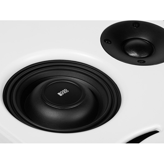 Ultra-Thin Wall Mount And Recessed Mounting Speaker