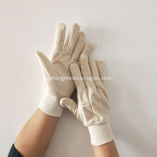 Nature White Canvas Gloves