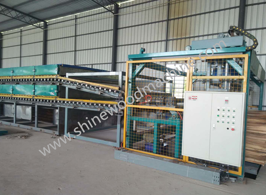 Veneer Drying Line