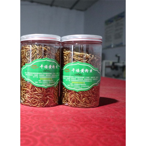 Nutrition Yellow Dried Mealworm