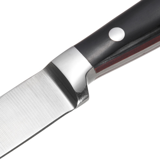 Garwin steak knife with double color handle