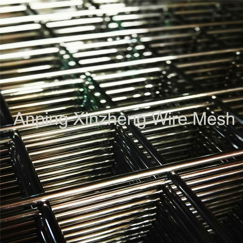 Ss Welded Mesh21