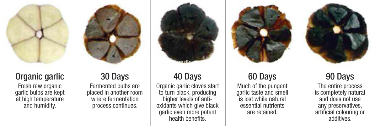 Whole black garlic 