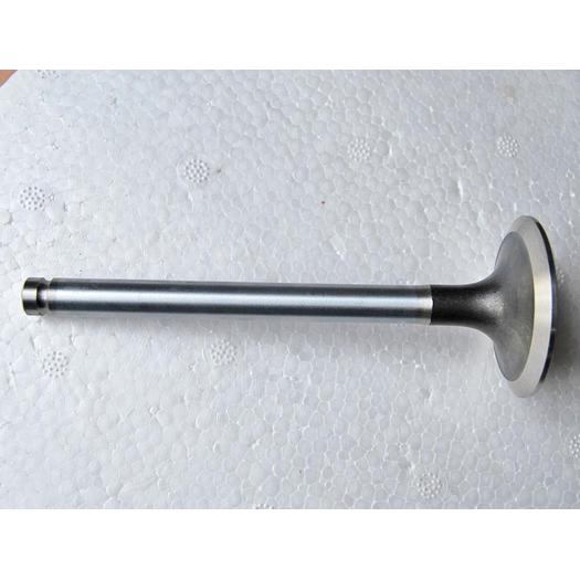 Engine Valves  TPK-100