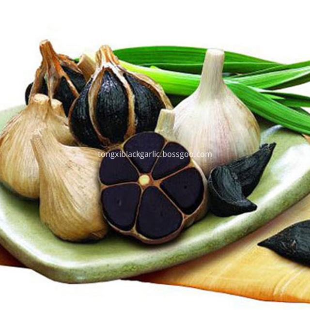 Multi Black Garlic 013