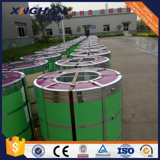 Factory Iron And PPGI Color Coated Steel Coil
