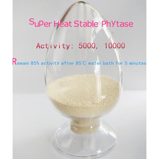 Super heat stable granular/powder phytase