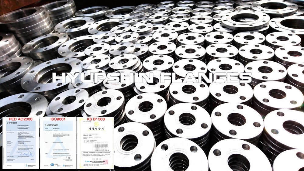 Hyupshin Flanges Jis Ksb1503 5k 10k