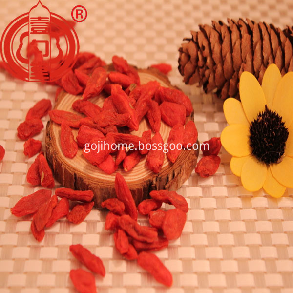 Antioxidant Dried Goji Berries