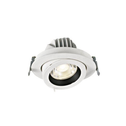 LEDER Dimmable White 30W LED Downlight
