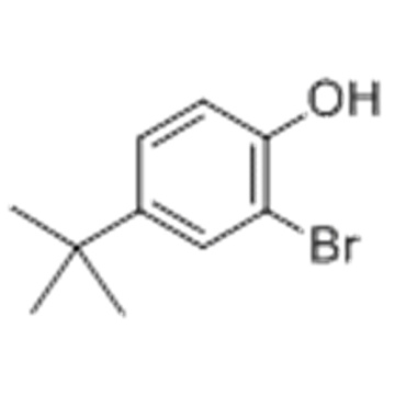 Phenol,2-bromo-4-(1,1-dimethylethyl) CAS 2198-66-5