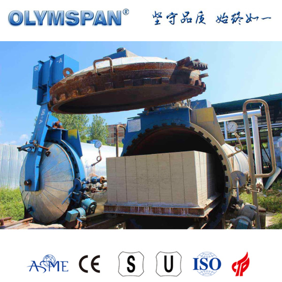 ASME standard cement ACC brick curing autoclave