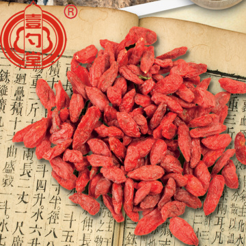 Raw goji berry dried fruit A grade