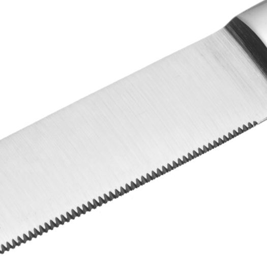 Garwin stainless steel full tang steak knife
