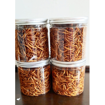 good protein from mealworm