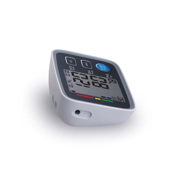 Ambulatory Portable Aneroid Blood Pressure Monitor