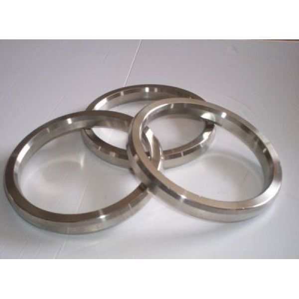 stainless steel investment casting sealing ring