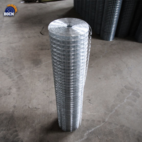 Galvanized Welded Wire Mesh Rolls Price