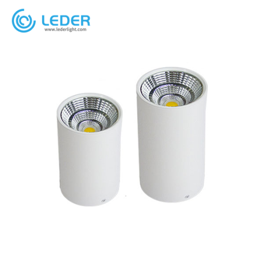 LEDER Lighting Design COB 3W LED Downlight