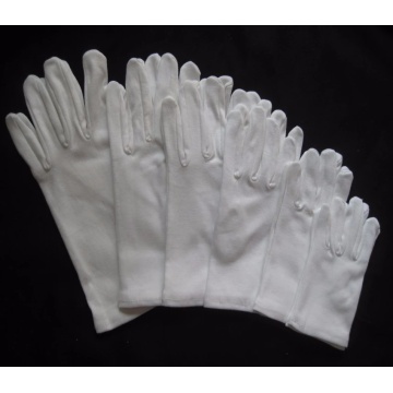 White Cotton Gloves with Elastic Cuff
