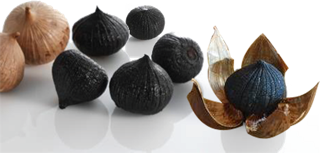 solo black garlic