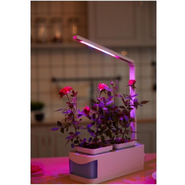 Colorful Hydroponic growing system 10W Led Smart Garden Plant Grow Light