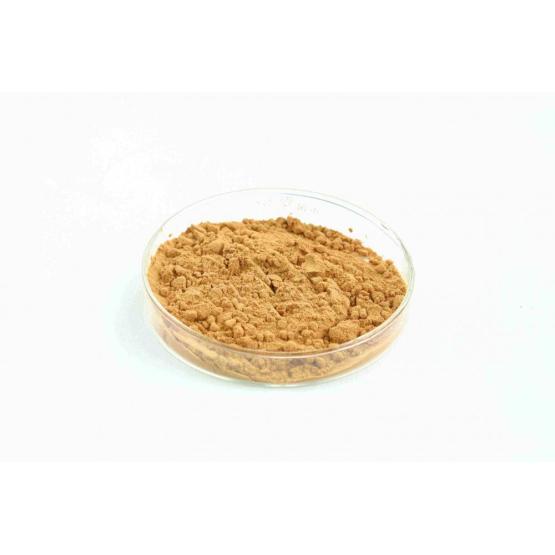 Digestive support Hawthorn Extract powder