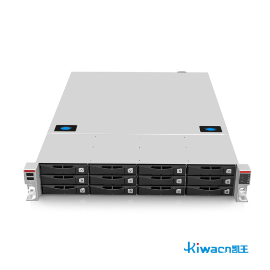 Distributed storage server chassis