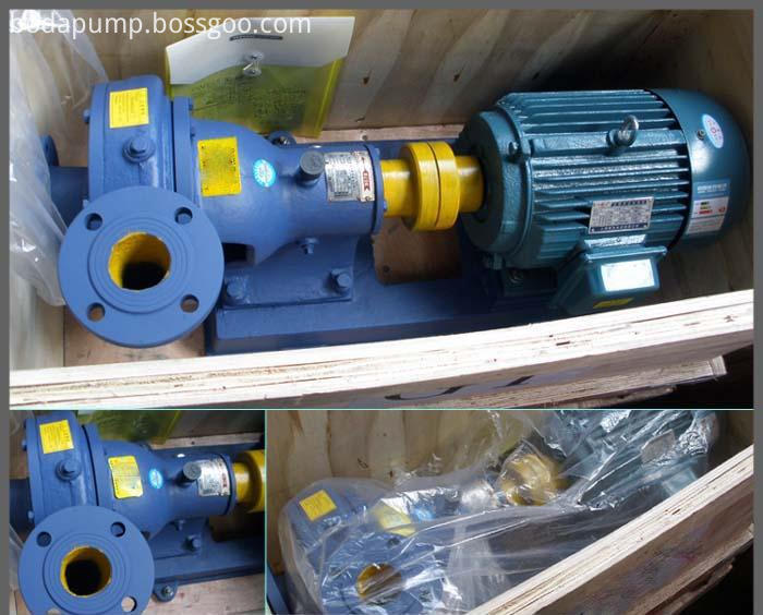 Pw Sewage Pump 