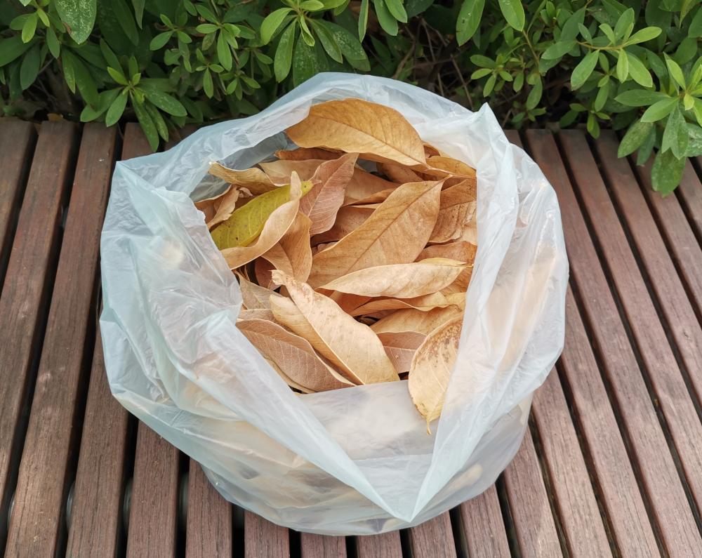 100% Biodegradable Backyard Leaf Plastic Bag