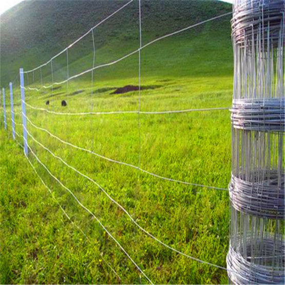 Field farm wrought iron grassland fence