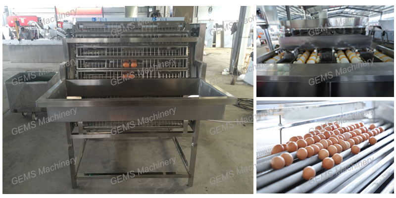 Automatic Hard Boild Egg Peeling Machine Commercial Hard Boiled Egg Pe – WM  machinery