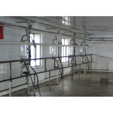 High tech herringbone milking hall