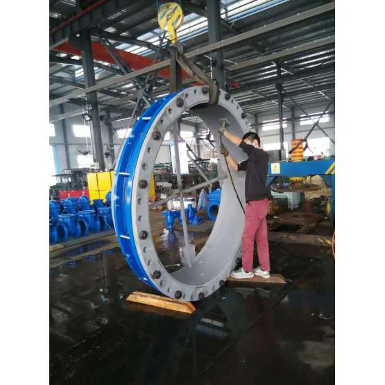 DN700-DN2000 large diameter c/w end ring flange adaptor