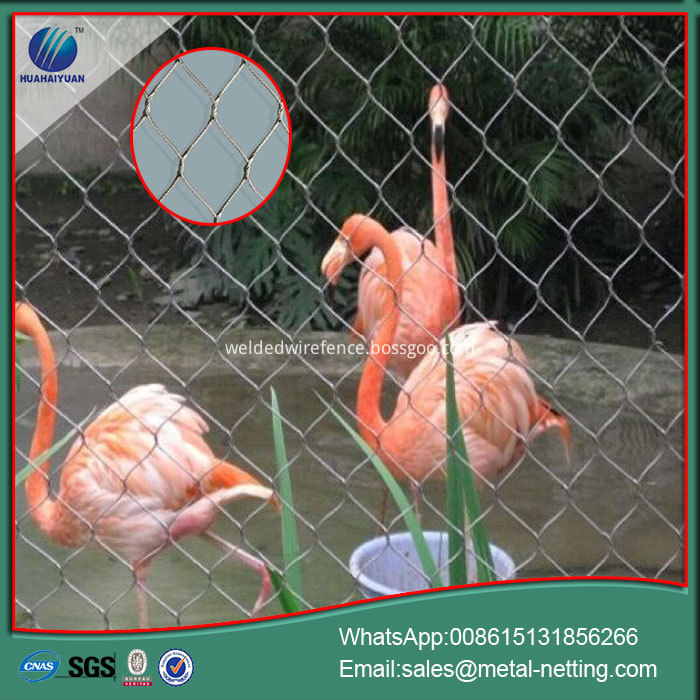 bird zoo netting