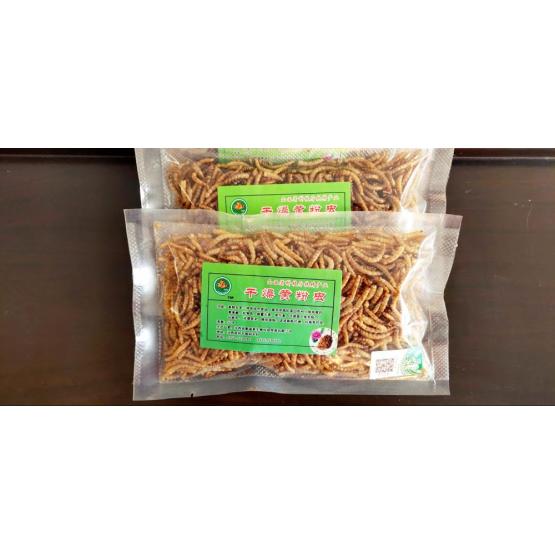 pets feed of yellow mealworms