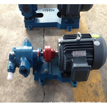 2CY series gear oil pump