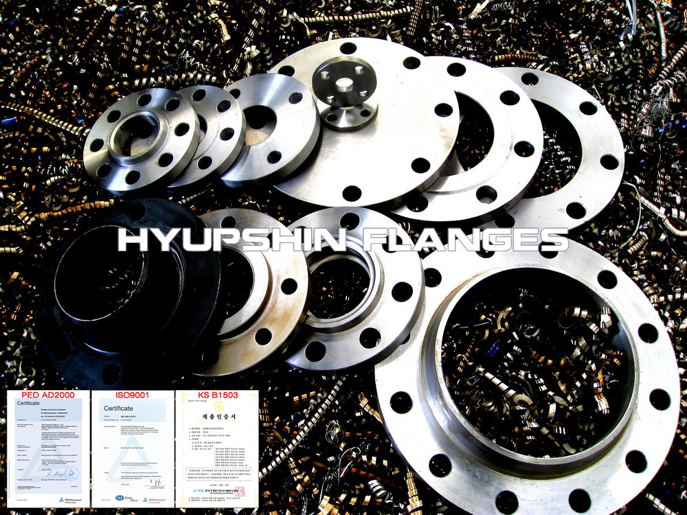 hyupshin_flanges