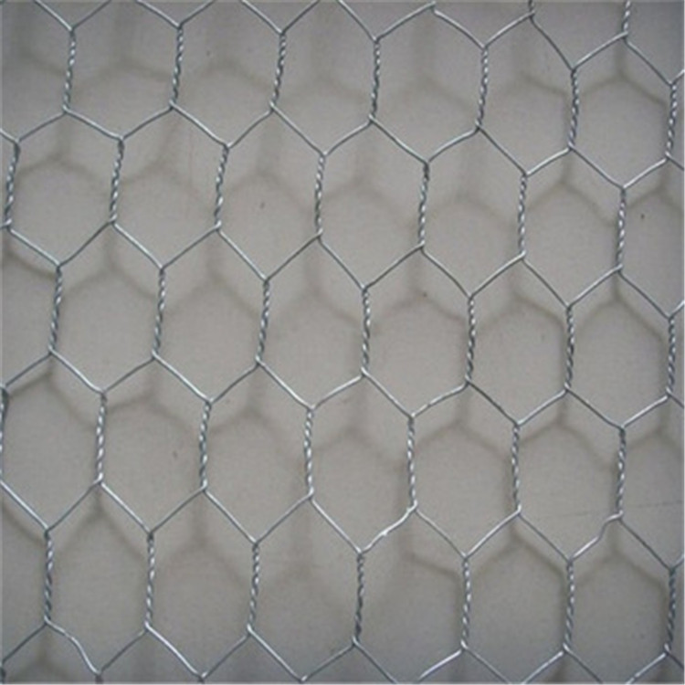 hexagonal wire mesh