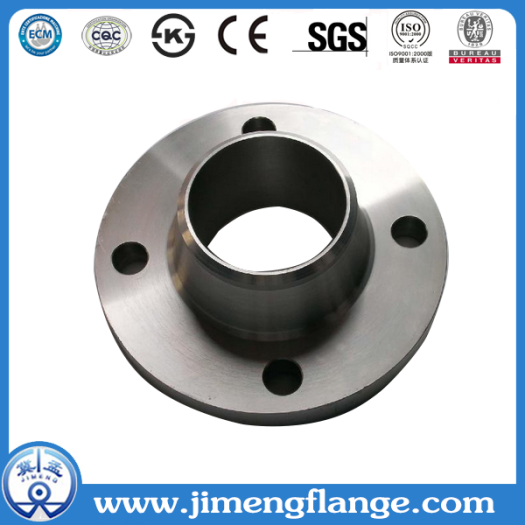 SORF Stainless Steel Flange