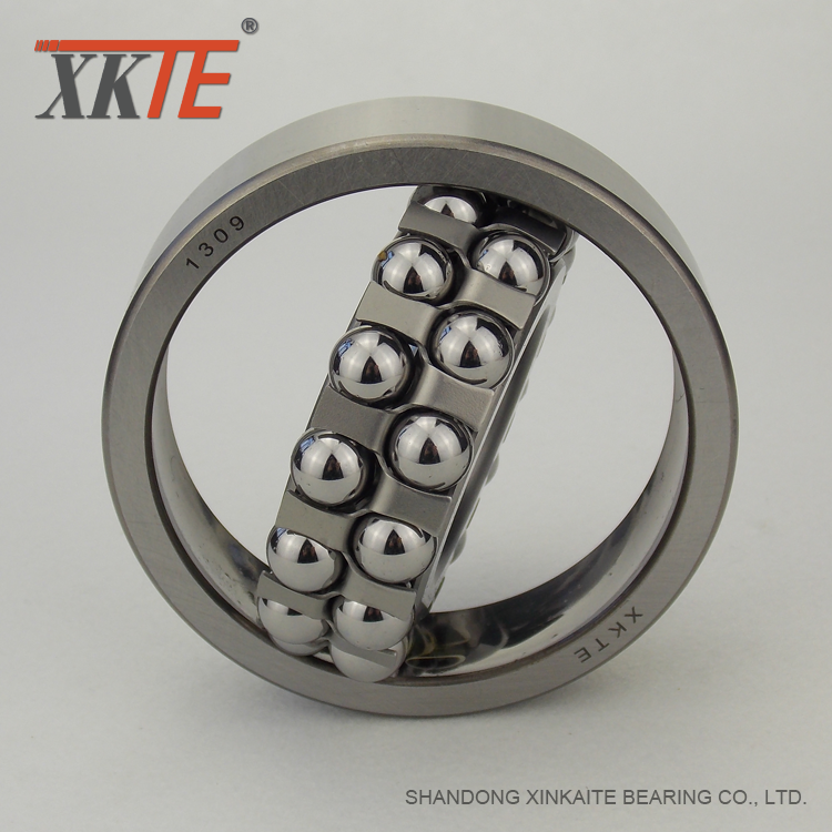 Bearing 1309 For Drum Pulley