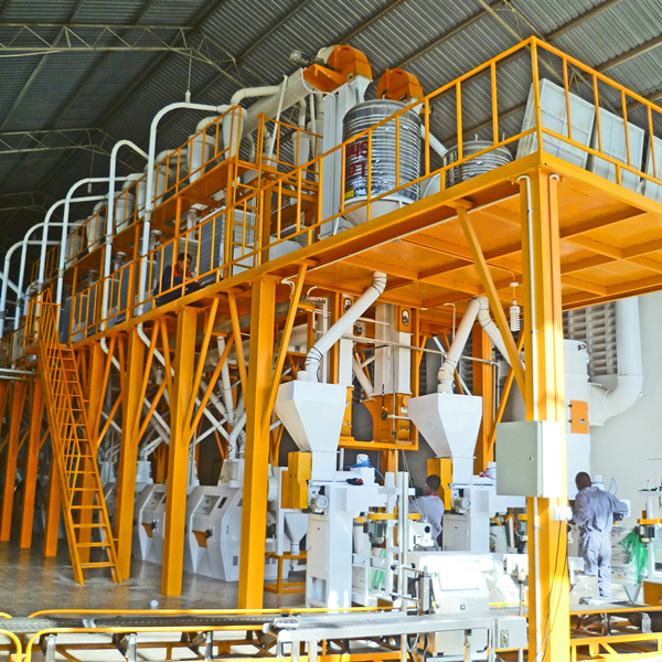 Tanzania 100T Maize Flour Mill