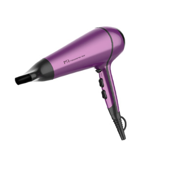Hotel Professional Electric Hair Dryer