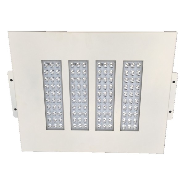 11000lm IP65 100W LED Canopy Light