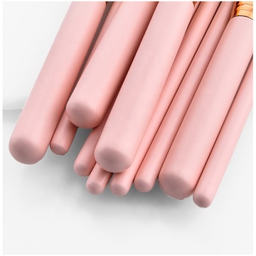 10 Pcs Pink Soft Makeup Brush Set