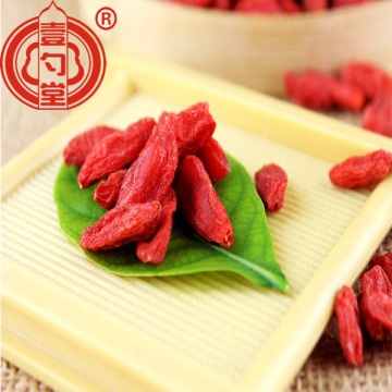Medicinal healthy conventional dried goji berry fruit