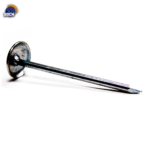 Stainless Steel Roofing Nail